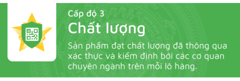 (3) Cấp 3: Chất lượng